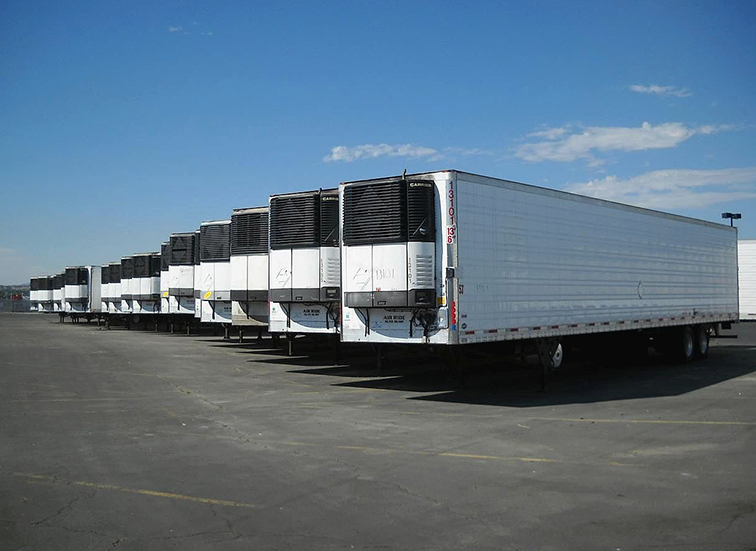 Refrigerated Trucks