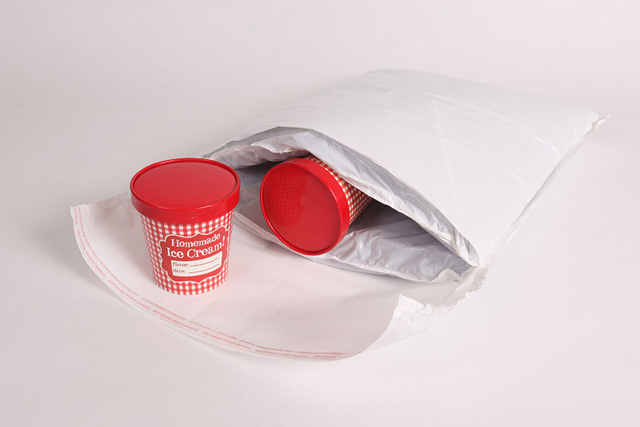 Ice Cream Insulated Delivery Pouch