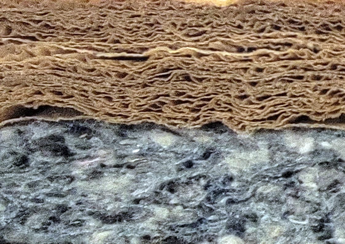 paper insulation cross section