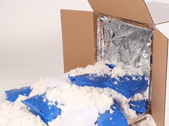 how to ship frozen products