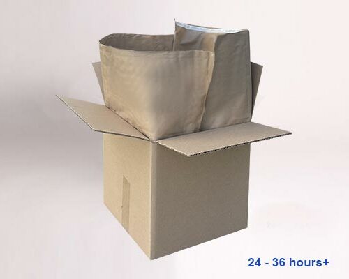 Paper Square Bottom Insulated Bag