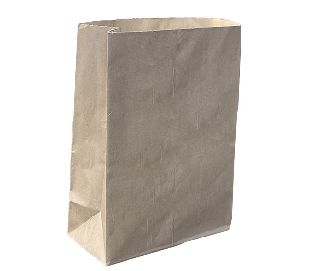 Paper Delivery Bag for Food